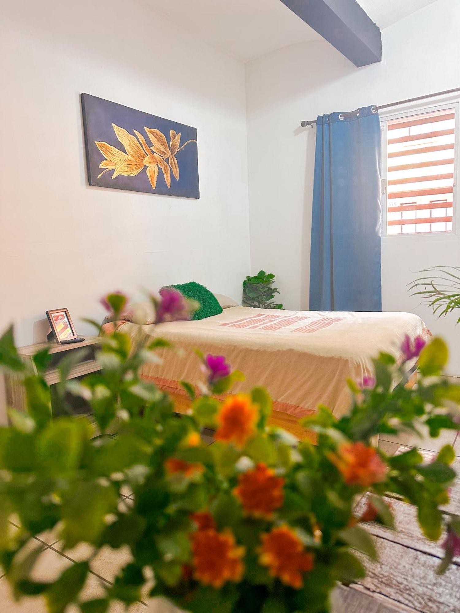 Habitacionez Hvuz 오아하카주 외부 사진