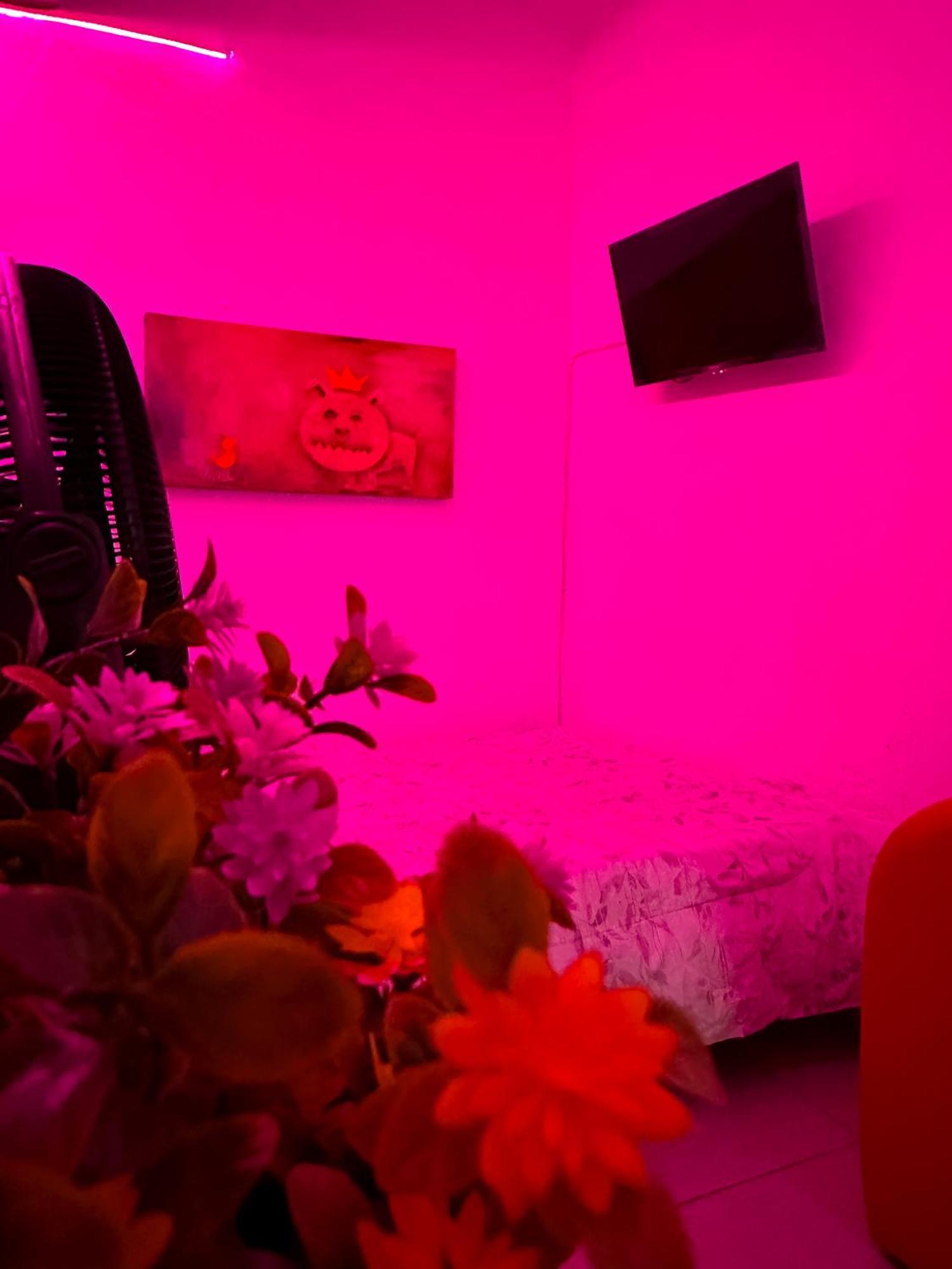 Habitacionez Hvuz 오아하카주 외부 사진